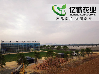 溫室大棚制造廠家施工現(xiàn)場(chǎng)案例-溫室工程出口圖片_青州市億誠(chéng)農(nóng)業(yè)科技